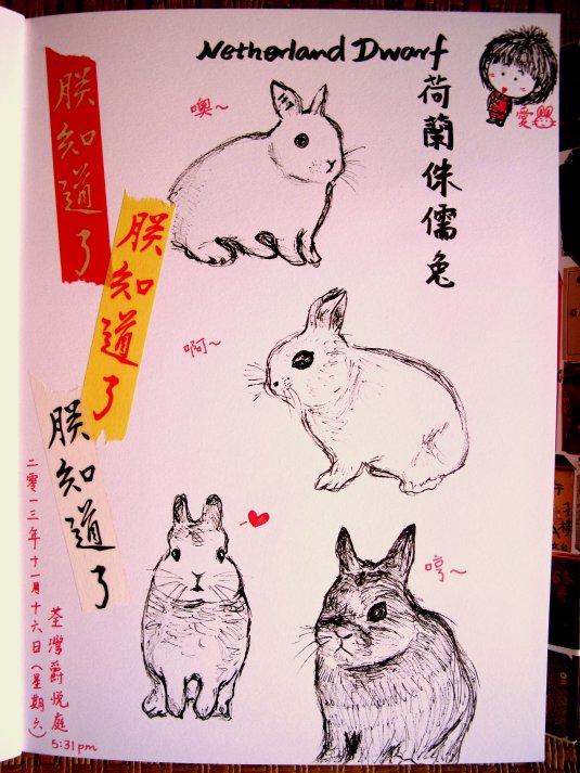 rabbits (doodling) - 16Nov2013